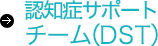 認知症サポートチーム（DST）